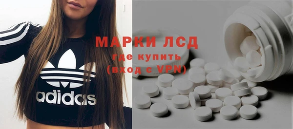 индика Бородино