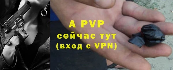каннабис Богданович