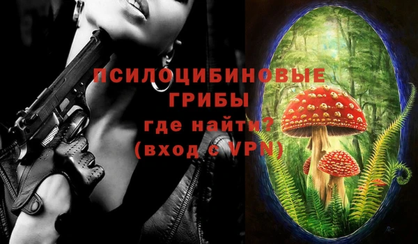 крисы Богородицк